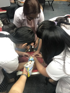 กลุ่มงานสูตินรีเวชกรรม